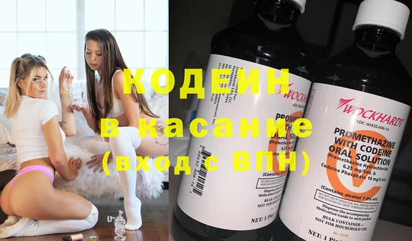 молекула духа Арсеньев