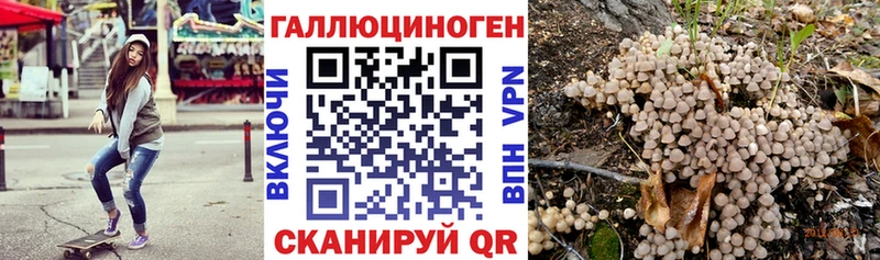 купить   Малоярославец  Псилоцибиновые грибы ЛСД 